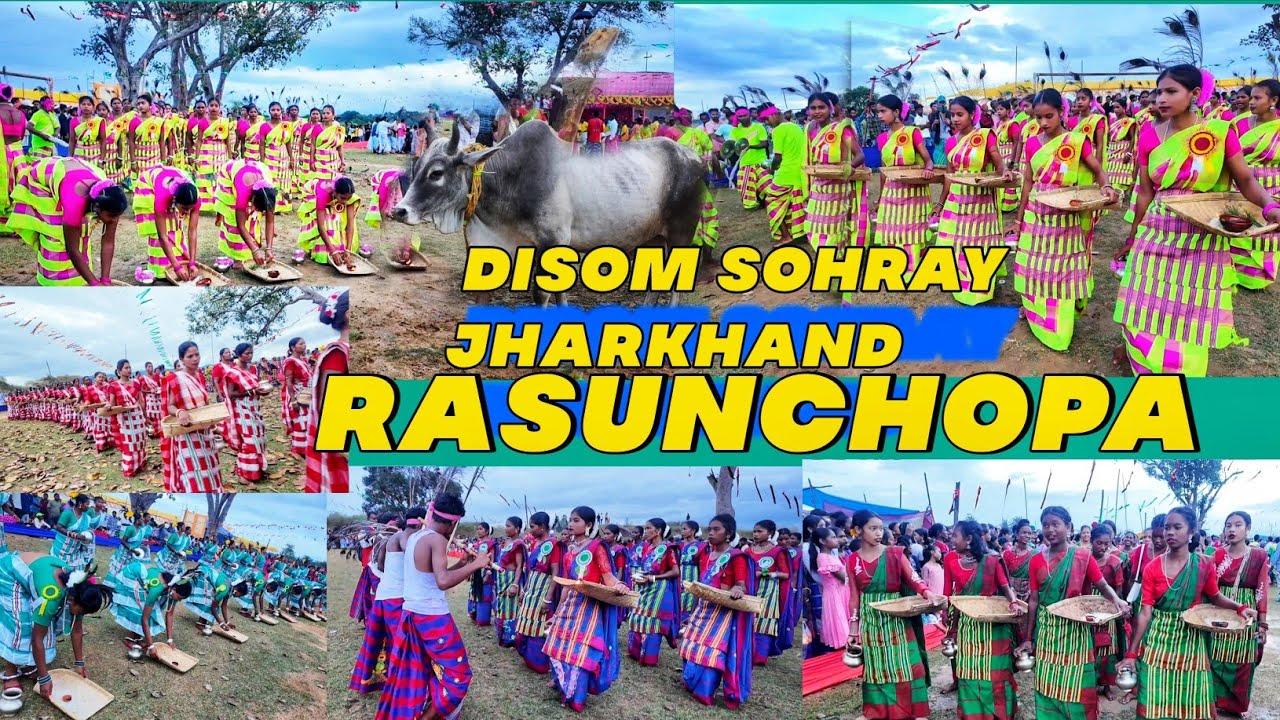 Rasunchopa disom sohrai 2025 || Rasunchopa Jharkhand Disom Sohray || Sagun Sohray || Rosunchopa 