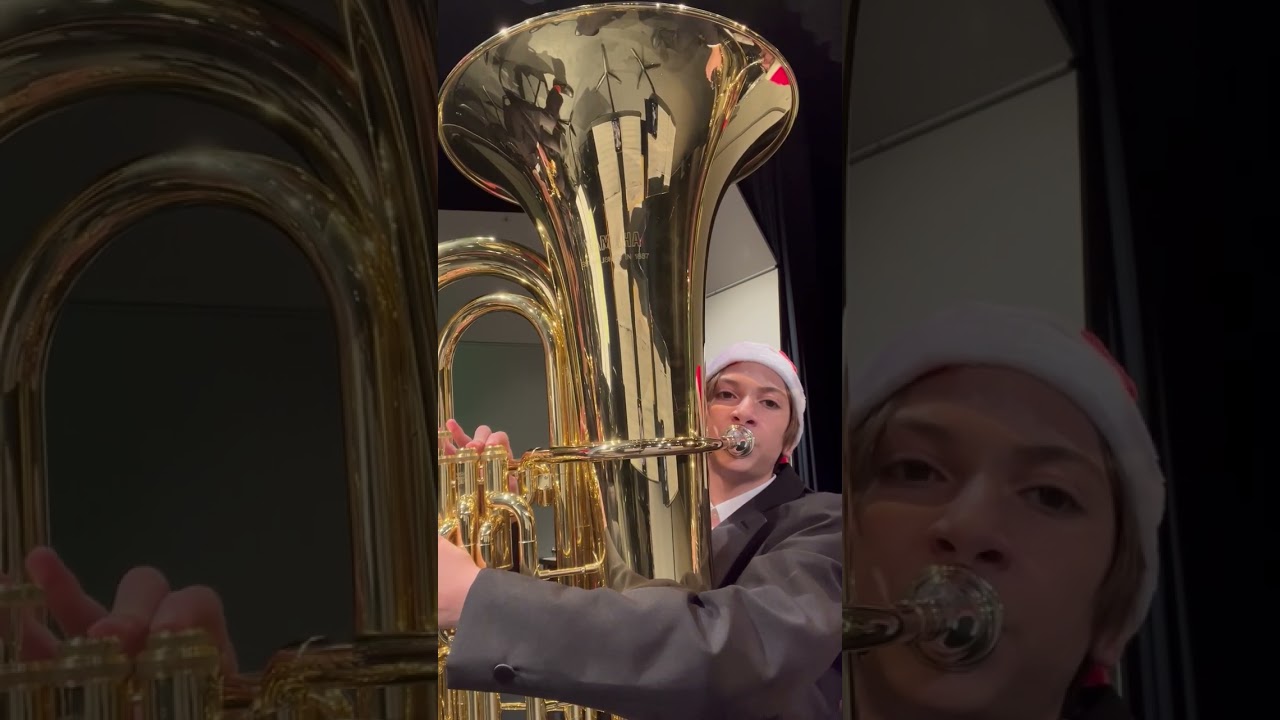 Sleigh Ride From Tuba POV