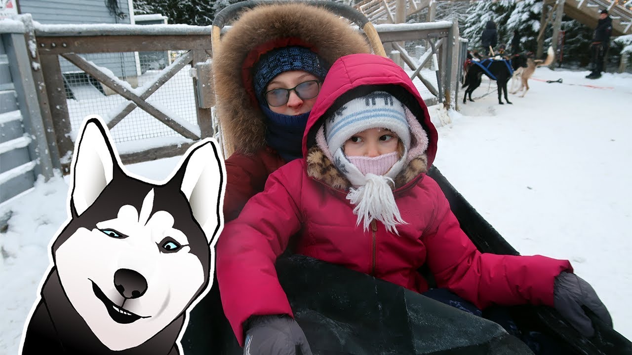 ЗИМНЕЕ САФАРИ на собаках ХАСКИ по дороге к Санта-Клаусу | В ФИНЛЯНДИЮ  НА МАШИНЕ С ДЕТЬМИ