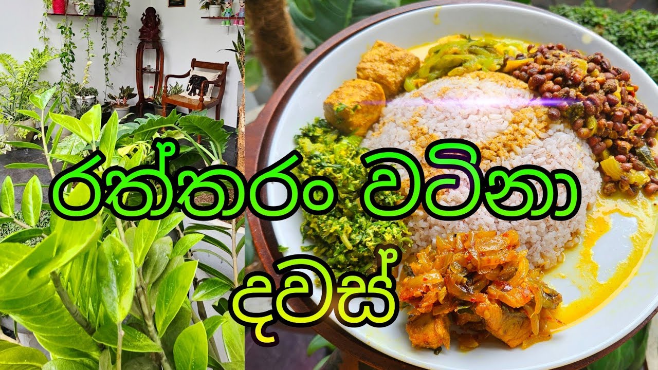 හිමින් හිමින් සුපුරුදු ජීවිතේ අලුත් කරගත්තා.🌧️🍃✨️🌹💕 #lifestyleparadiseya #dayvlogsinhala