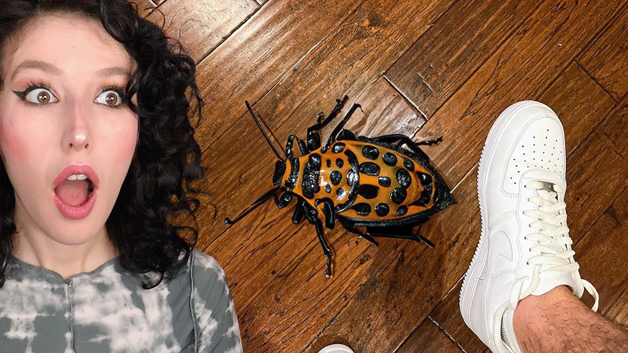 EĞER SIKILDIYSAN BU VİDEOYU KESİN İZLE !!