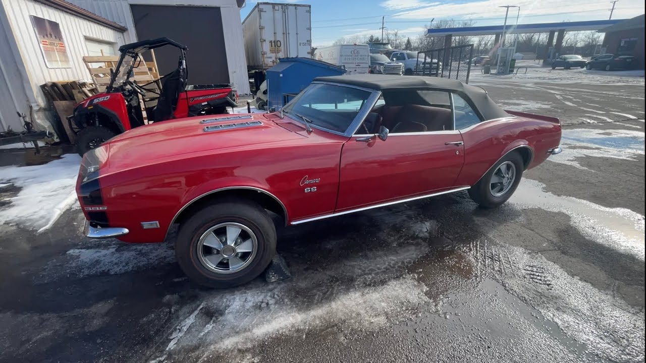 MUSCLE CAR HONEY HOLE! We drop off the C-10 seat and find a ton of cool cars…