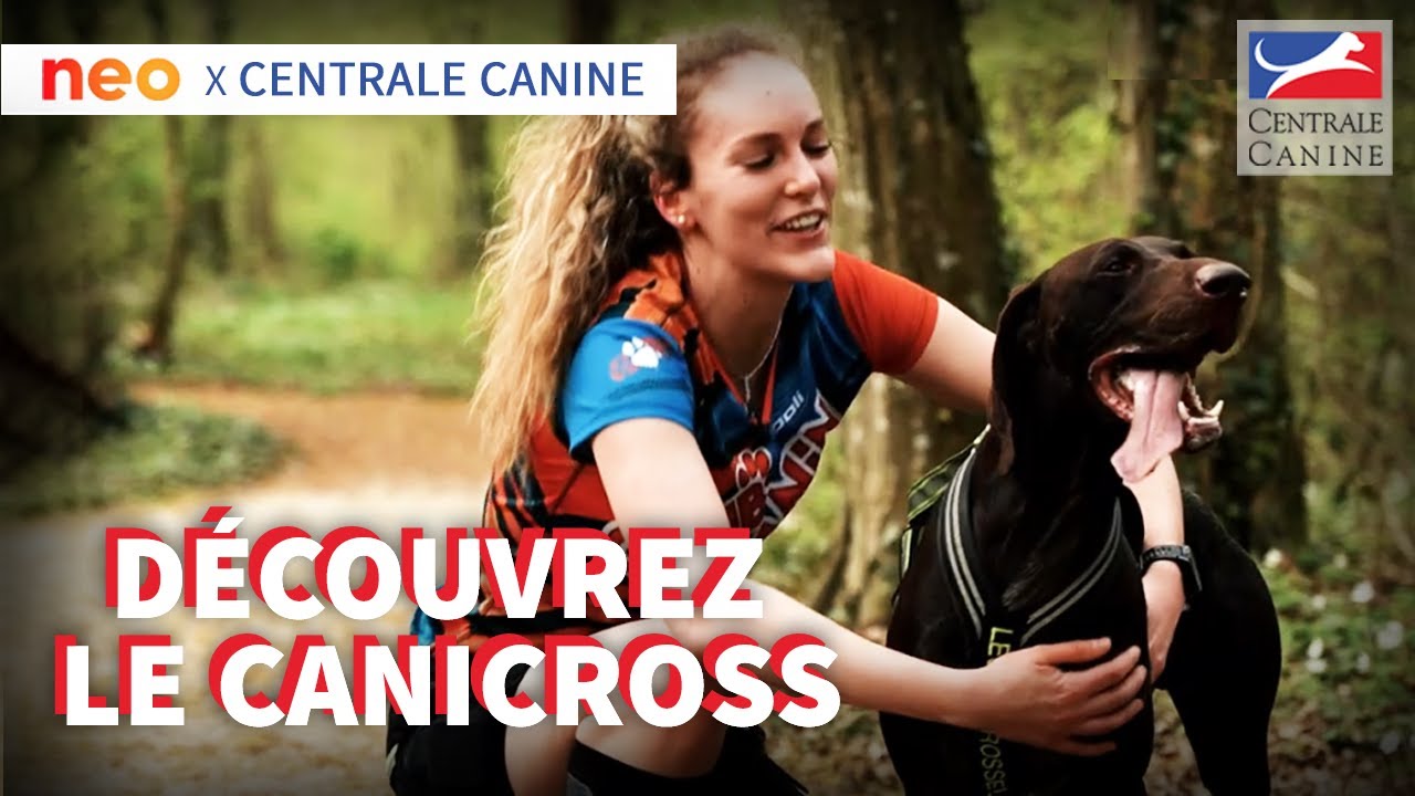 LE CANICROSS - Neo x Centrale Canine