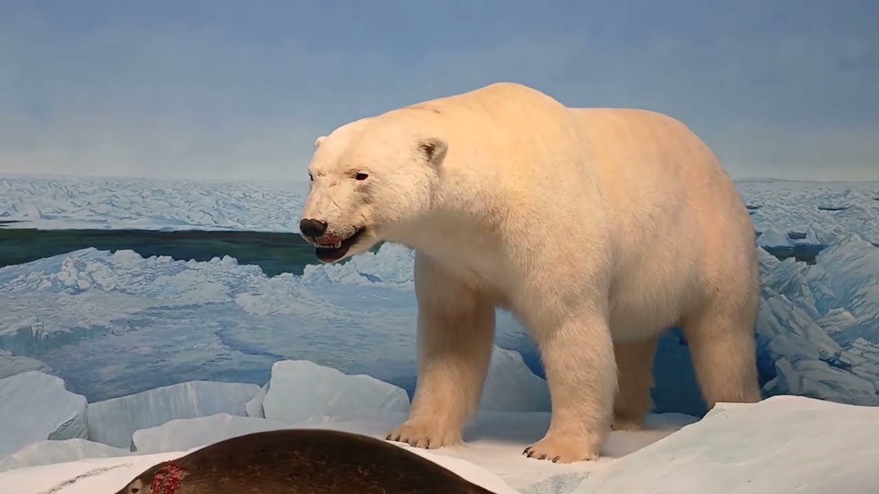 Day at the Manitoba Museum: Why This Winnipeg Attraction Is a Must-See!