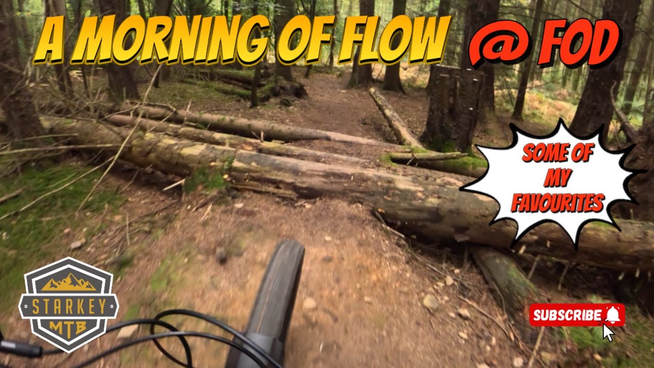 Some awesome flow at DOWIES #mtb #emtb #amflow #fyp