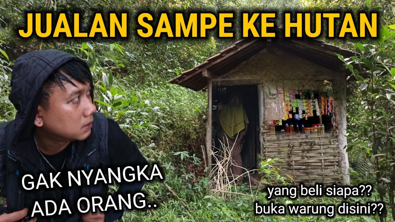 BIKIN PENASARAN!! WANITA INI BERTAHAN HIDUP DI HUTAN BELANTARA TIDUR DI RUMAH POHON