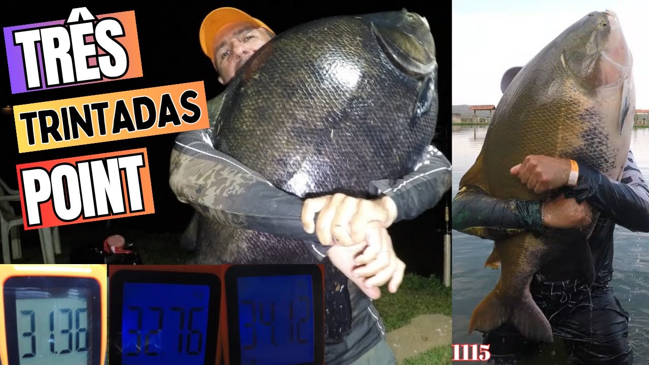 O DIA DAS TRINTADAS NO POINT DA PESCA - FISHINGTUR 1115