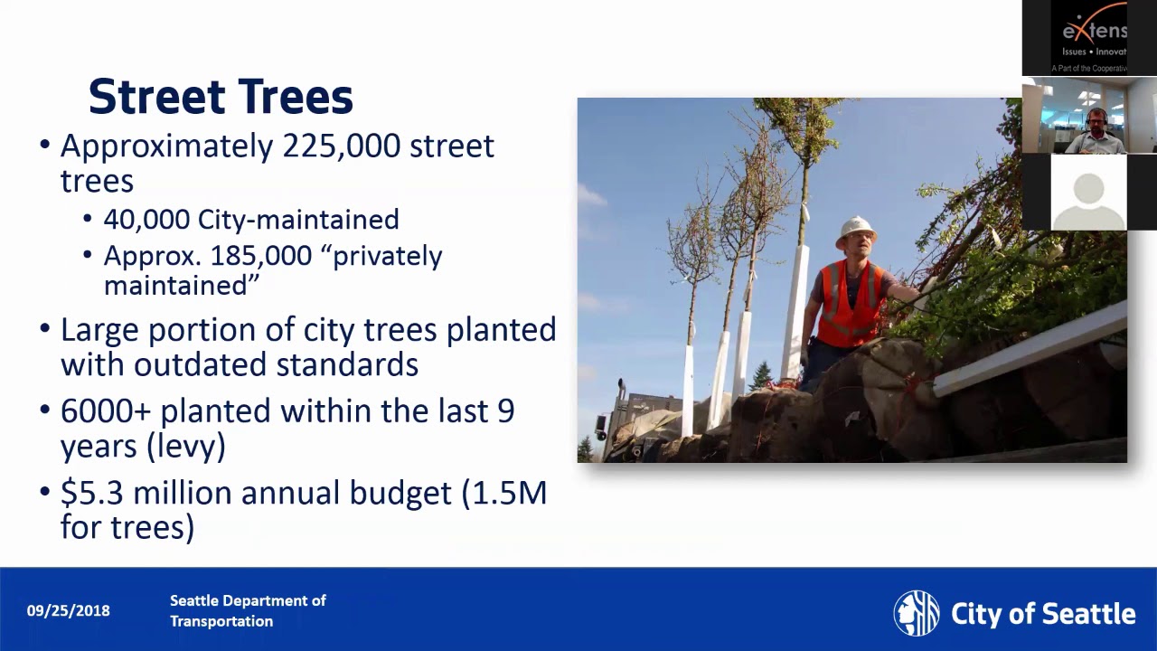 Seattle's Approach to Street Trees and Sidewalks