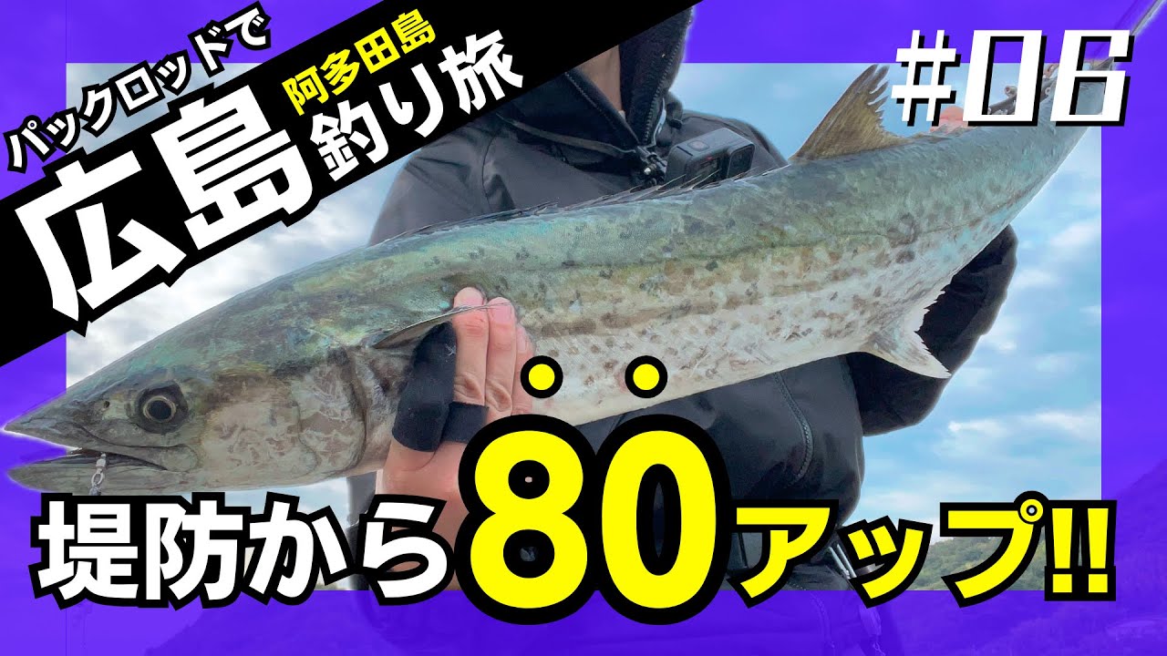 広島・阿多田島の堤防で80cm超えの大物が！パックロッド釣り旅【コンパクトロッド】【釣行】