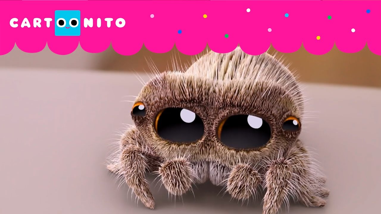 EMOÇÕES QUE NÃO SE ESCONDEM | LUCAS, A ARANHA | CARTOONITO