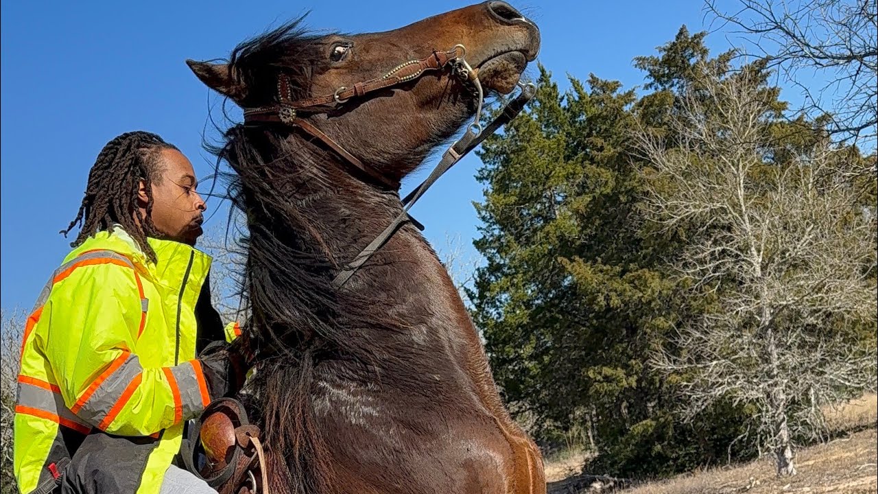 Bad News | Feeling Himself 