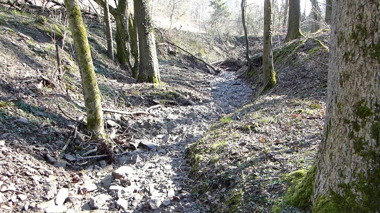 Selbecker Bach (&raquo;Blaue Donau&laquo;) &bull; Ein Abschluss &bull; Anfang April 2020