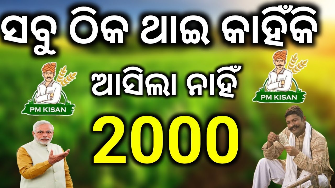 ସବୁ ଠିକ ଥାଇ କାହିଁ କି ଆସିଲା ନାହିଁ/PM Kisan Yojana money Not received/PM Kisan Yojana money not credit