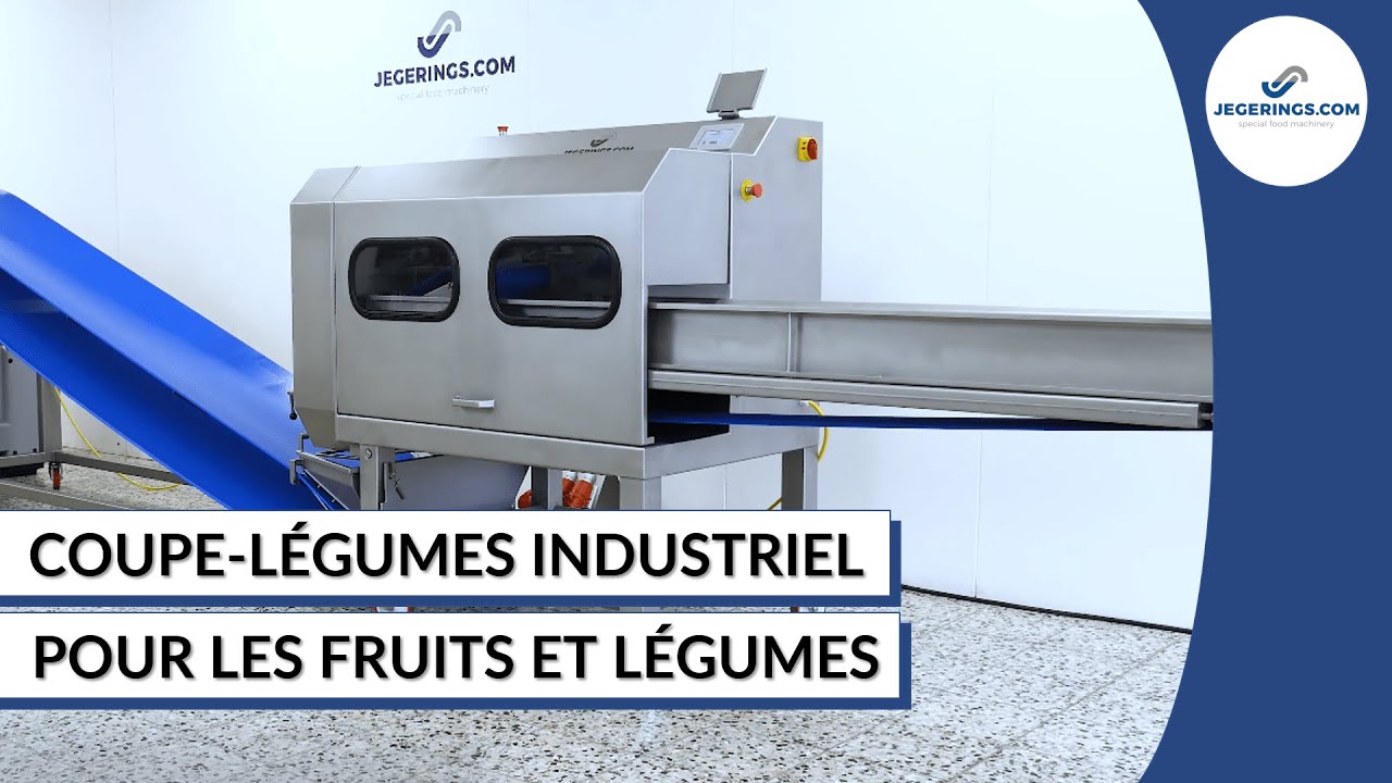 Coupe-Légumes Industriel BCM-3000 | Machine Pour Couper les Fruits et Légumes