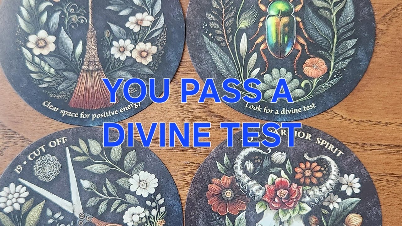 Вы берете дело в свои руки, и результат потрясающий!