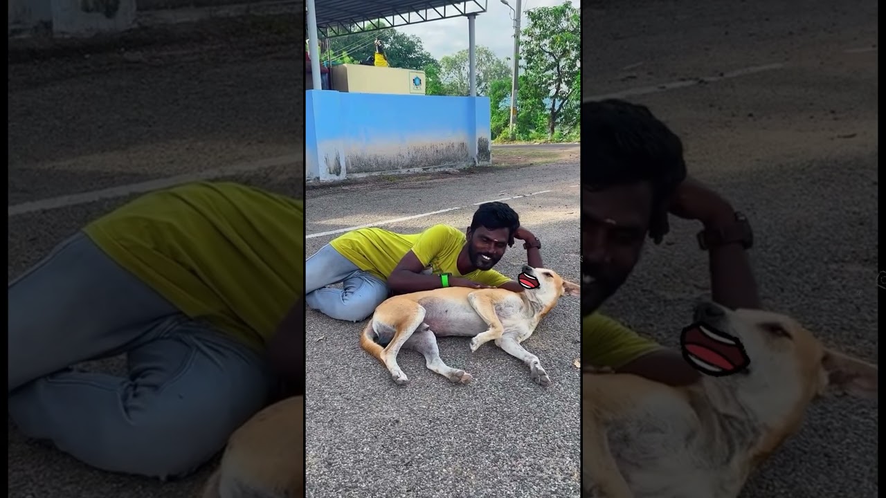 Dog mind voice 😂😂.  #comedy #tamil