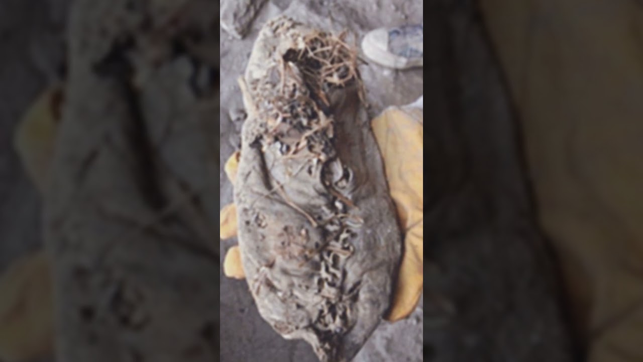 Objetos M&aacute;s Antiguos Hechos Por Humanos