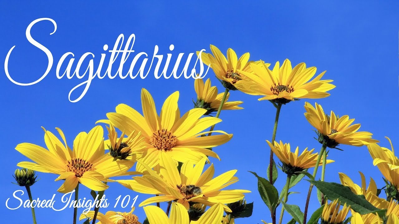 Sagittarius August 2018 - Divine Intervention!