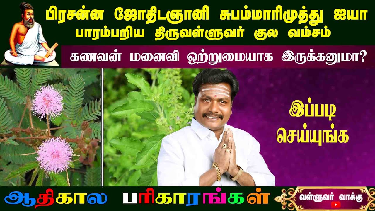 துளசி + தொட்டால் சிணுங்கி ரகசியம்|thulasi & thottal sinungi ragasiyam|valluvar|subam marimuthu|astro