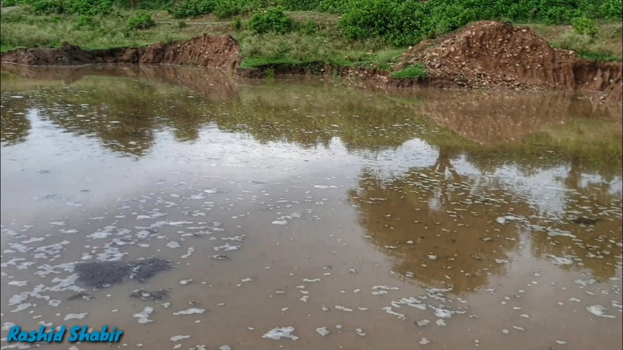 Again Heavy Rain in Dadyal Azad Kashmir | Monsoon Rain |Toad & Frogs | Monsoon Floods | Dadyal tv