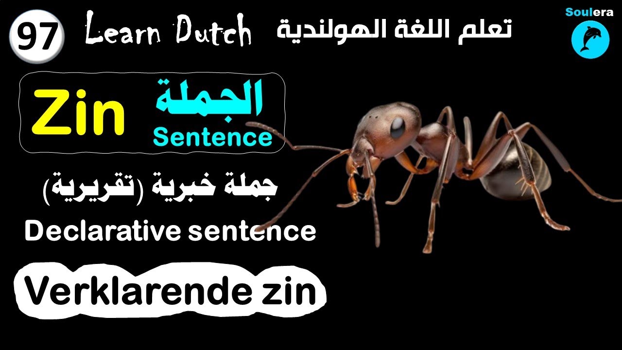 د214- خطوة 97: الجملة الخبرية (التقريرية)  في اللغة الهولندية 🐬