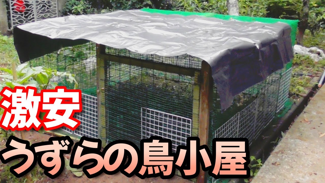 激安！鳥小屋作ってみた。うずら　家畜　自給自足への道