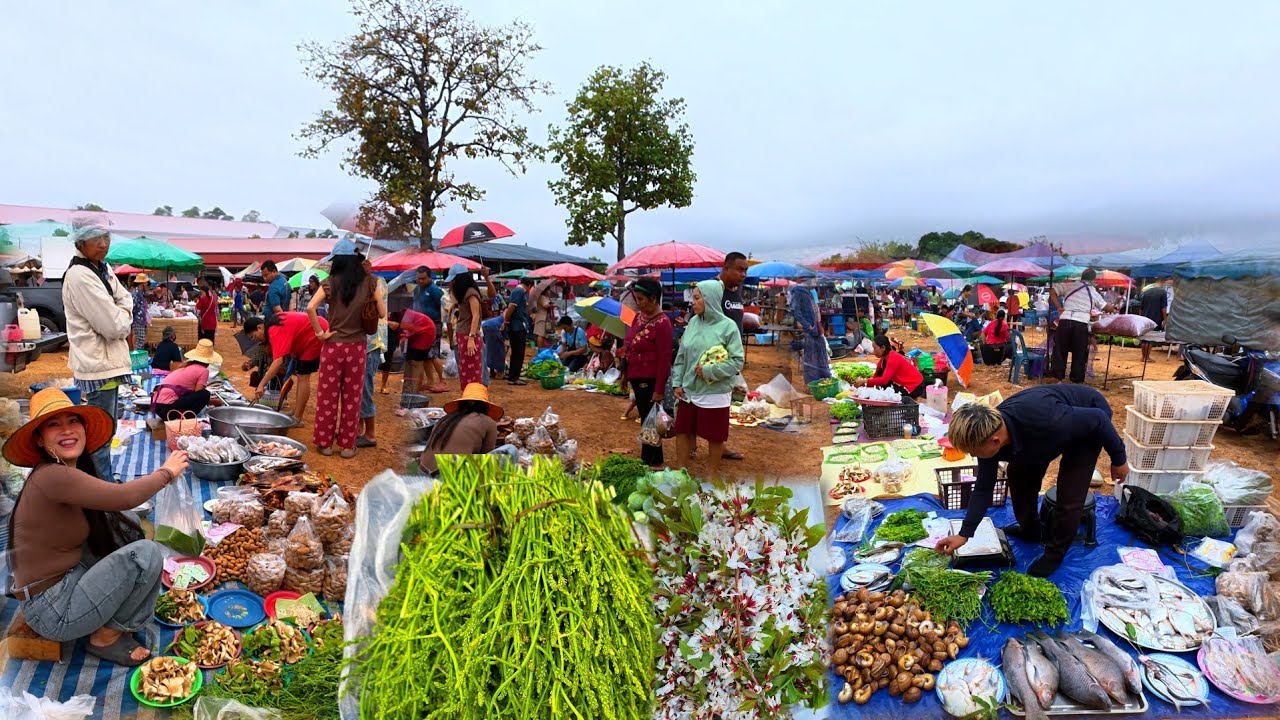 ฝนแรกของปี‼️ อาหารอีสานบ้านเฮา ตลาดโพธิ์ไทร ทุกเช้าวันศุกร์ อุบลราชธานี