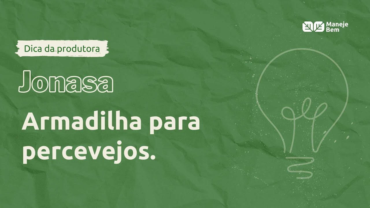 Dica da produtora Jonasa Armadilha para percevejos ManejeBem
