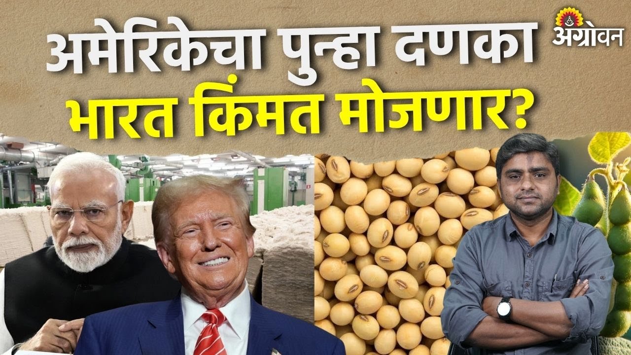 India US Tariff : अमेरिकेला भारताकडून नेमके हवे तरी काय ? | Agrowon