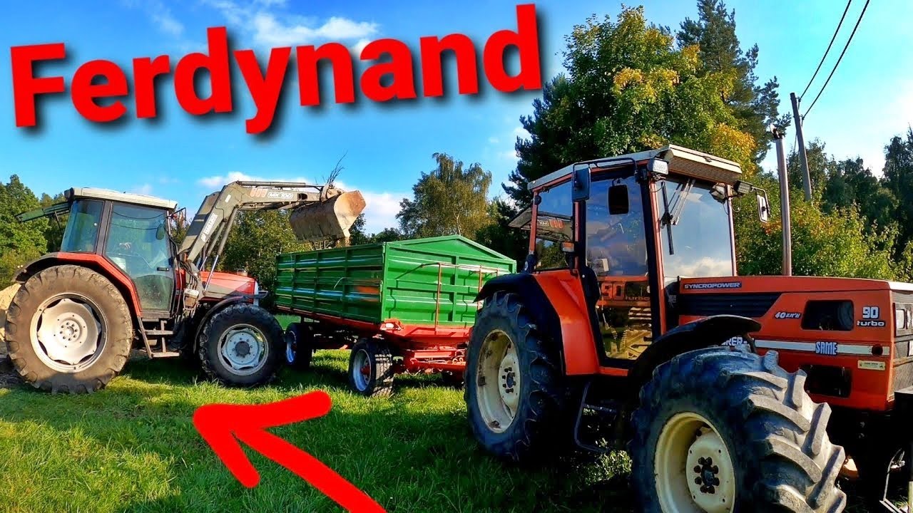 Pierwsza praca Ferdka!