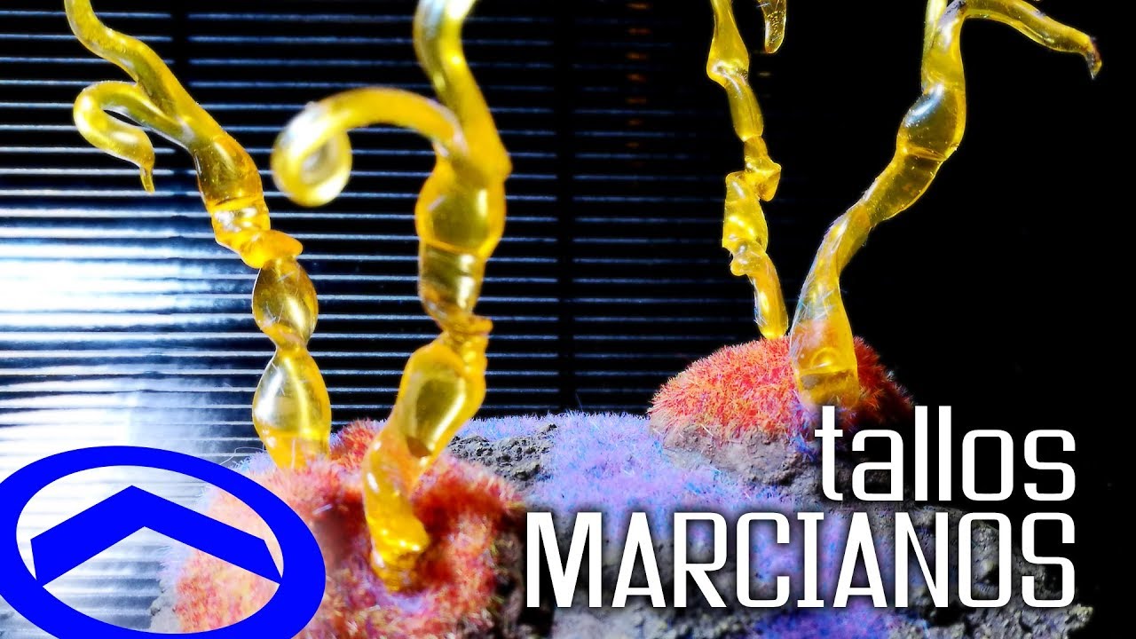 Tallos Marcianos - Flora Alien: Episodio 2