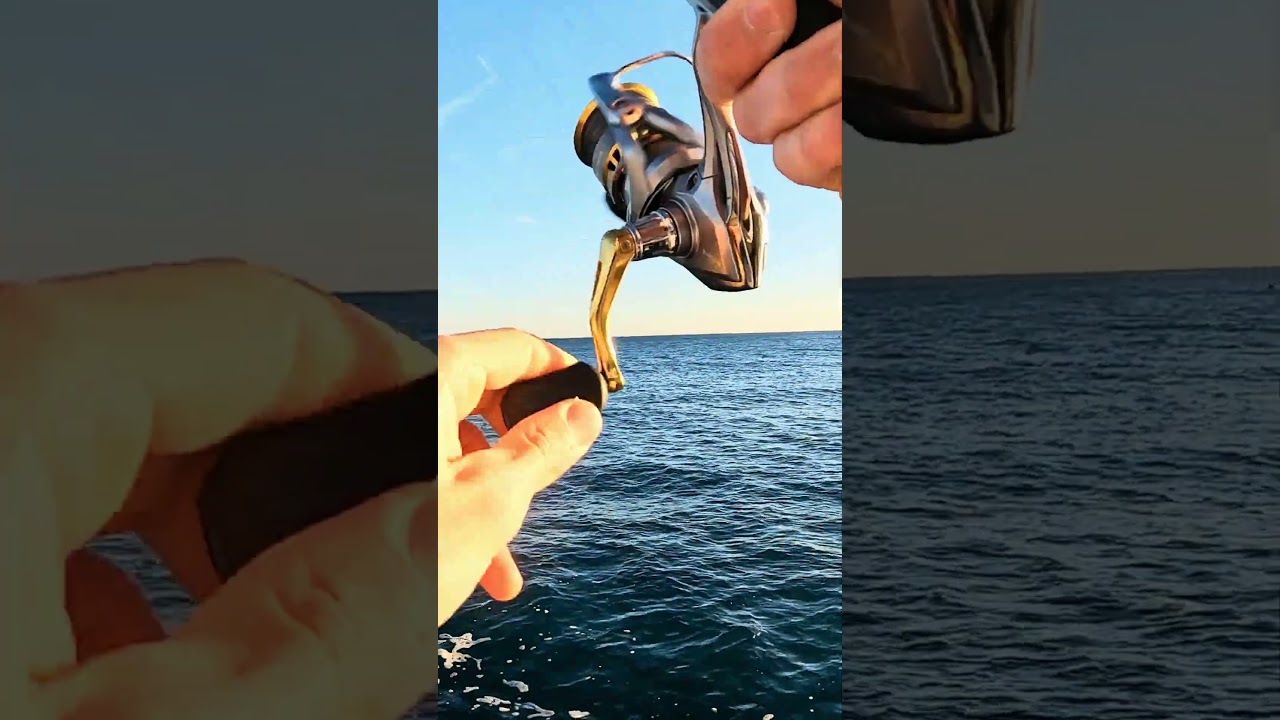 Tarde de Rockfishing desde puerto 