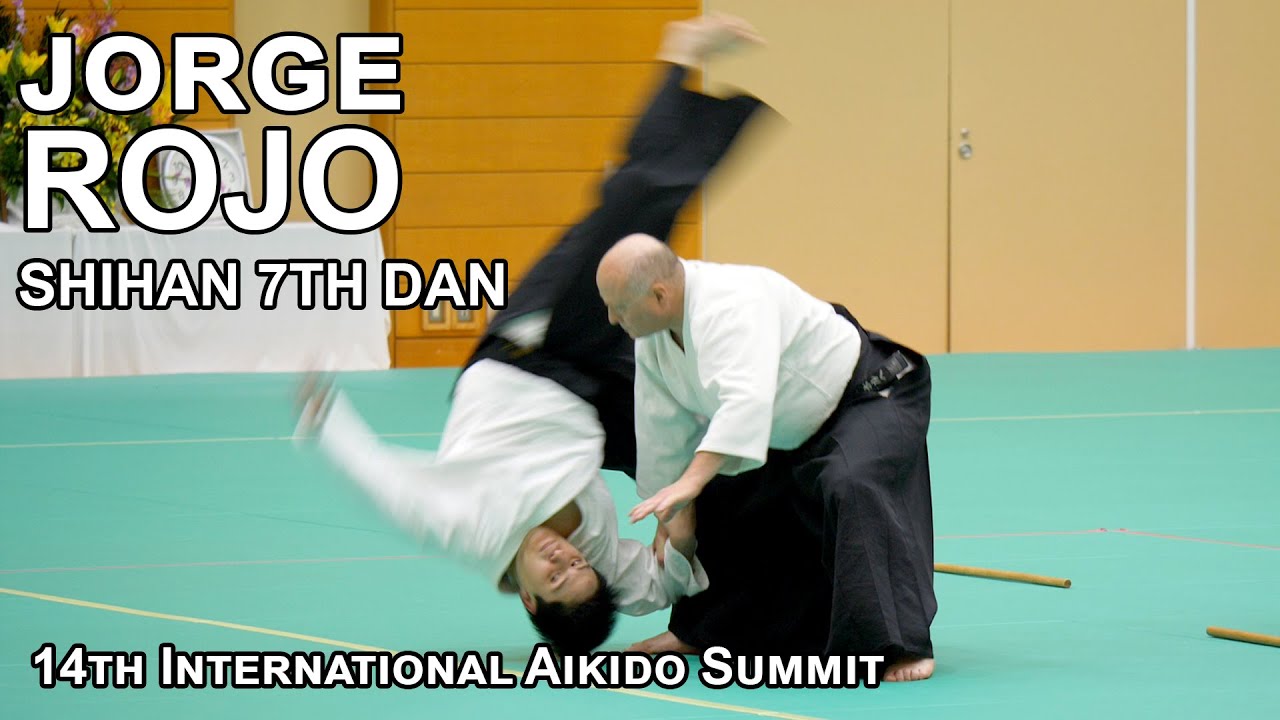 [AIKIDO DEMO] Jorge ROJO - 14th International Aikido Summit, Tokyo 2024