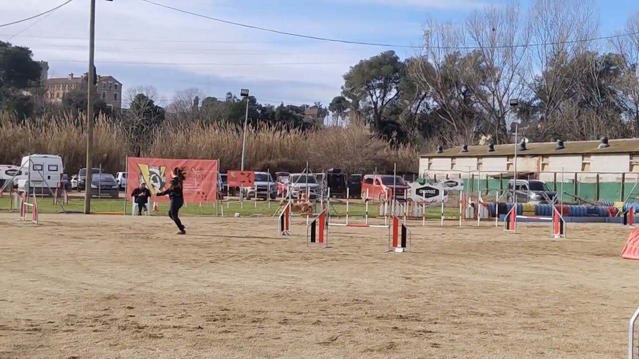 Brownie FCAG Santa Quiteria 1-02-26 Jumping
