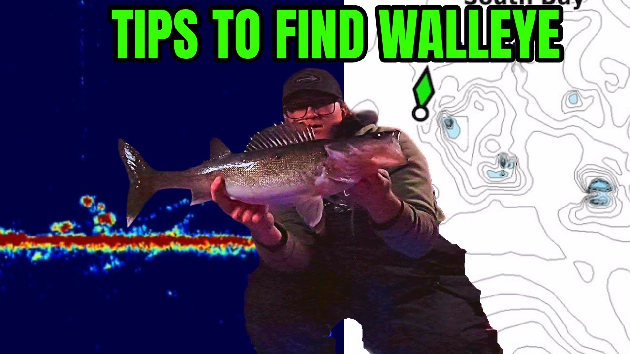 Невероятный клев судака на озере Ниписсинг | Советы, как поймать больше рыбы (подледная рыбалка)