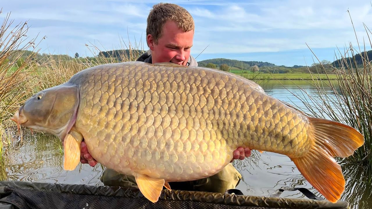 The Carpy Cast - April 2022 – 30+ kg MEGA Schuppi und 34,2 kg am Le Grand Etang