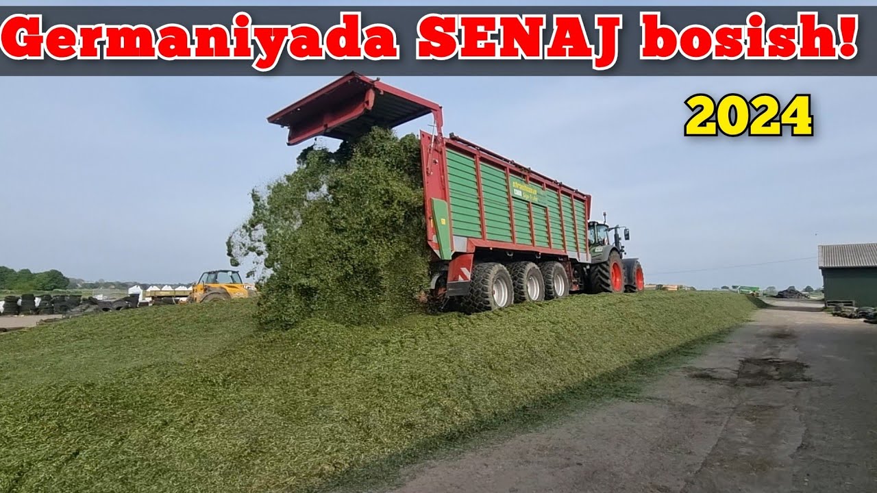 Germaniyada Senaj bosish qandek böladi?
