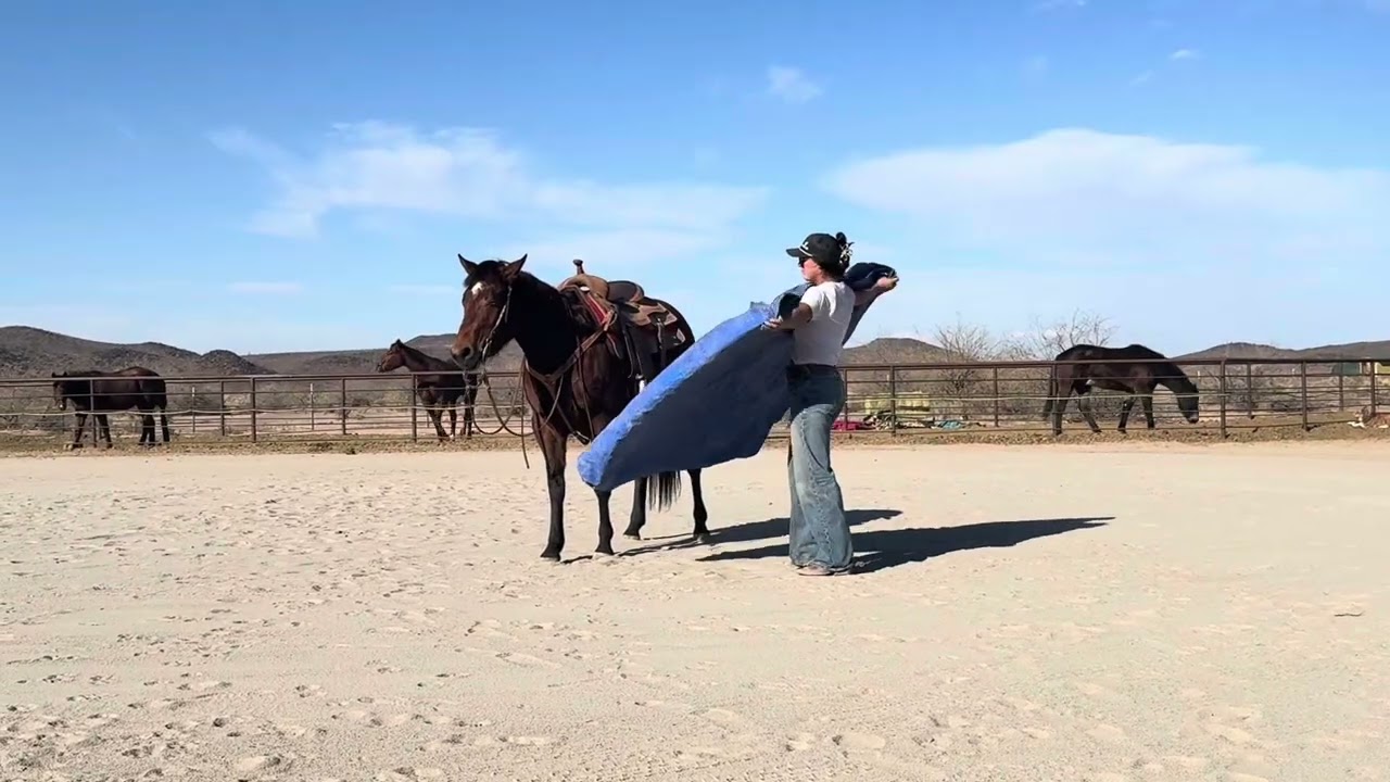 Badlands Pep Neela 2022 AQHA mare 