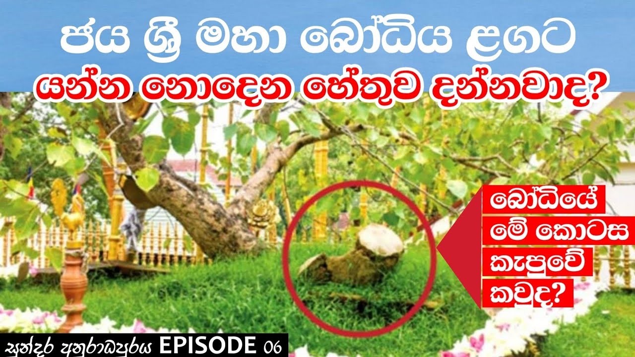 ශ්‍රී මහා බෝධිය Sri Maha Bodhi අනුරාධපුරය 06 කොටස Anuradapura Episode 06