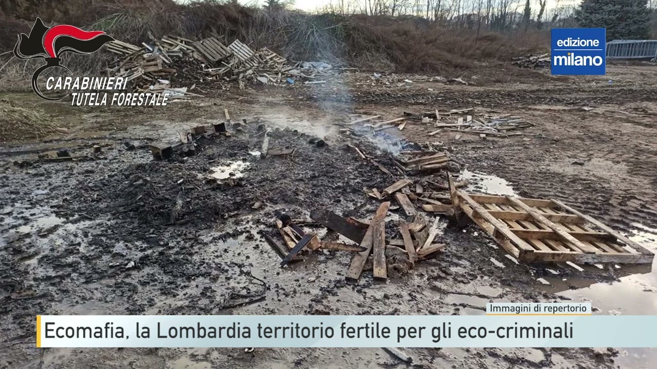 Ecomafia, la Lombardia territorio fertile per gli eco-criminali
