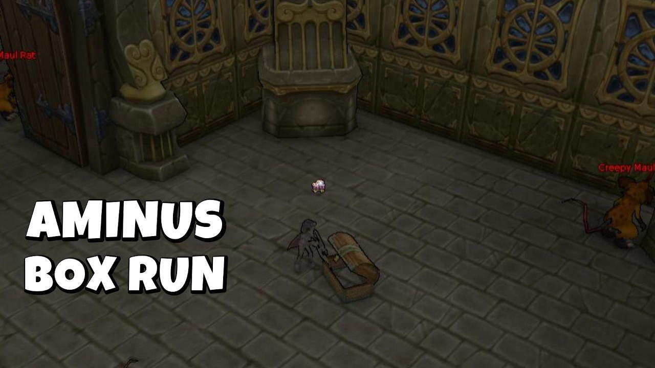 Aminus Box Run | Flyff
