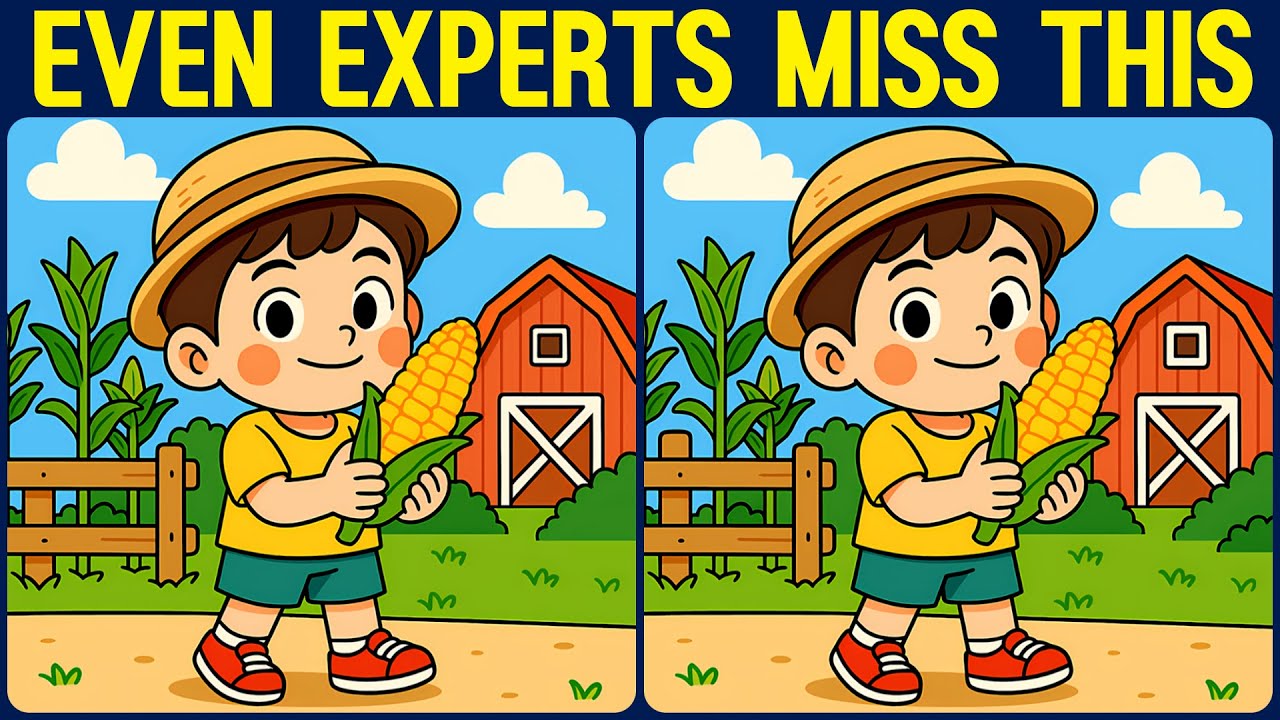 [Spot the Difference Brain Training] Find them all and prove your smartness.