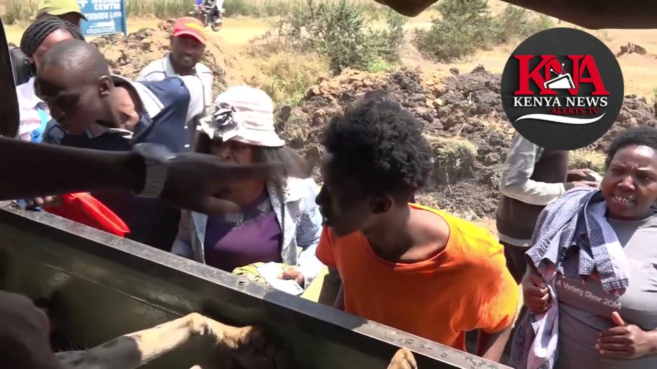 WATCH DRAMA AS JUJA RESIDENTS THRONG TO WATCH HYENAS CAPTURED BY KWS