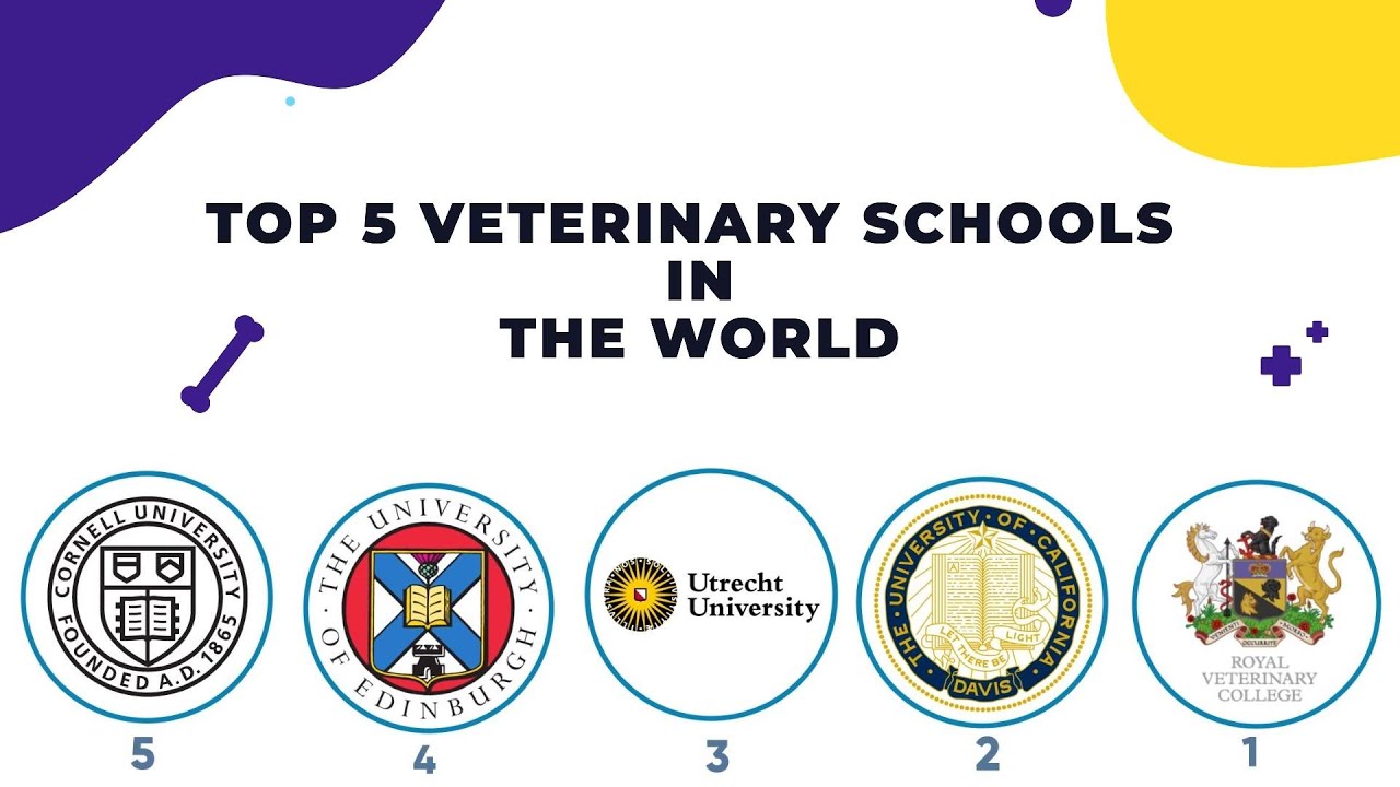 Top 5 veterinary schools in the world | Best Veterinary Schools