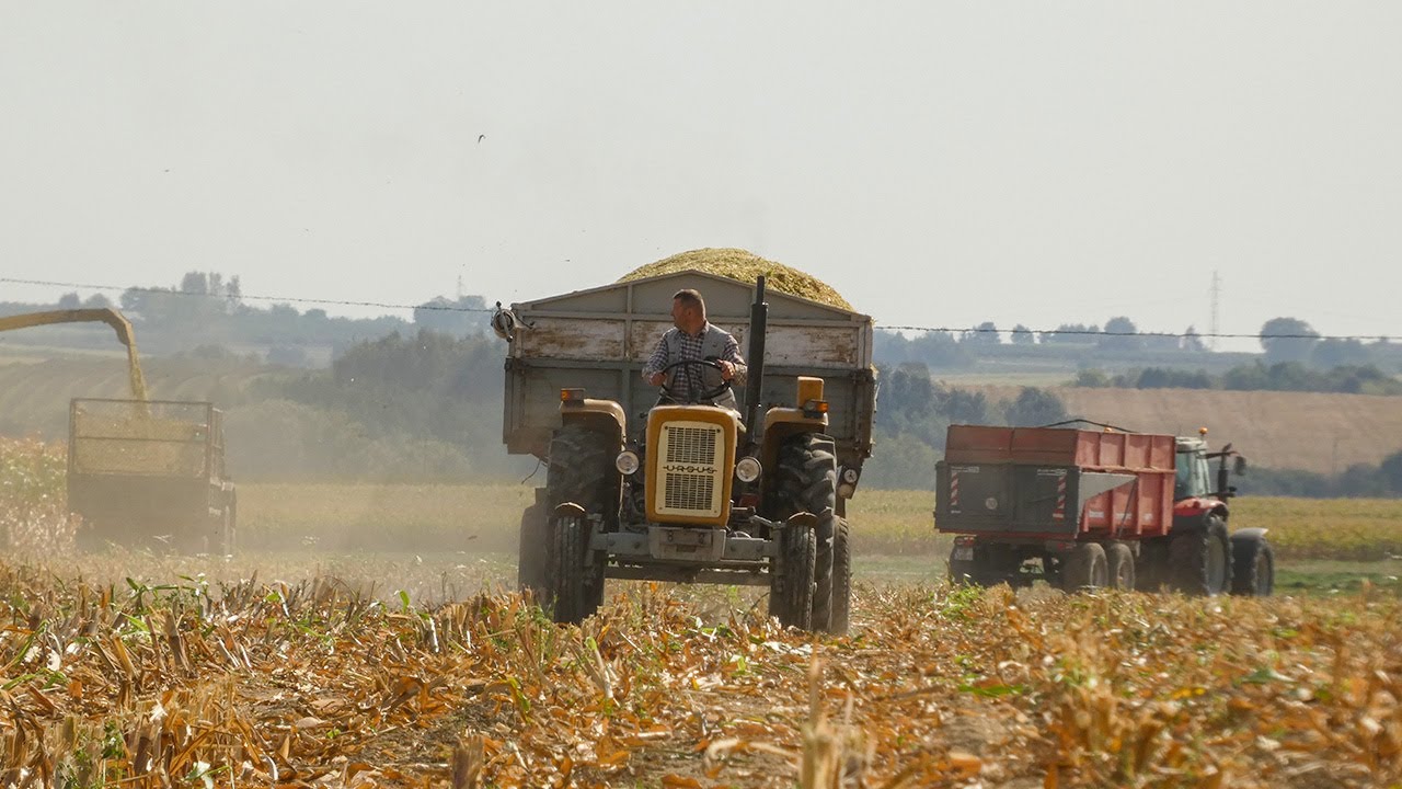 KUKURYDZA NA KISZONKĘ 2024 W POLSKIM STYLU!🇵🇱 | 8 ZESTAWÓW W AKCJI!🔥 Ursus/MF/Renault/Zetor/Foton/NH