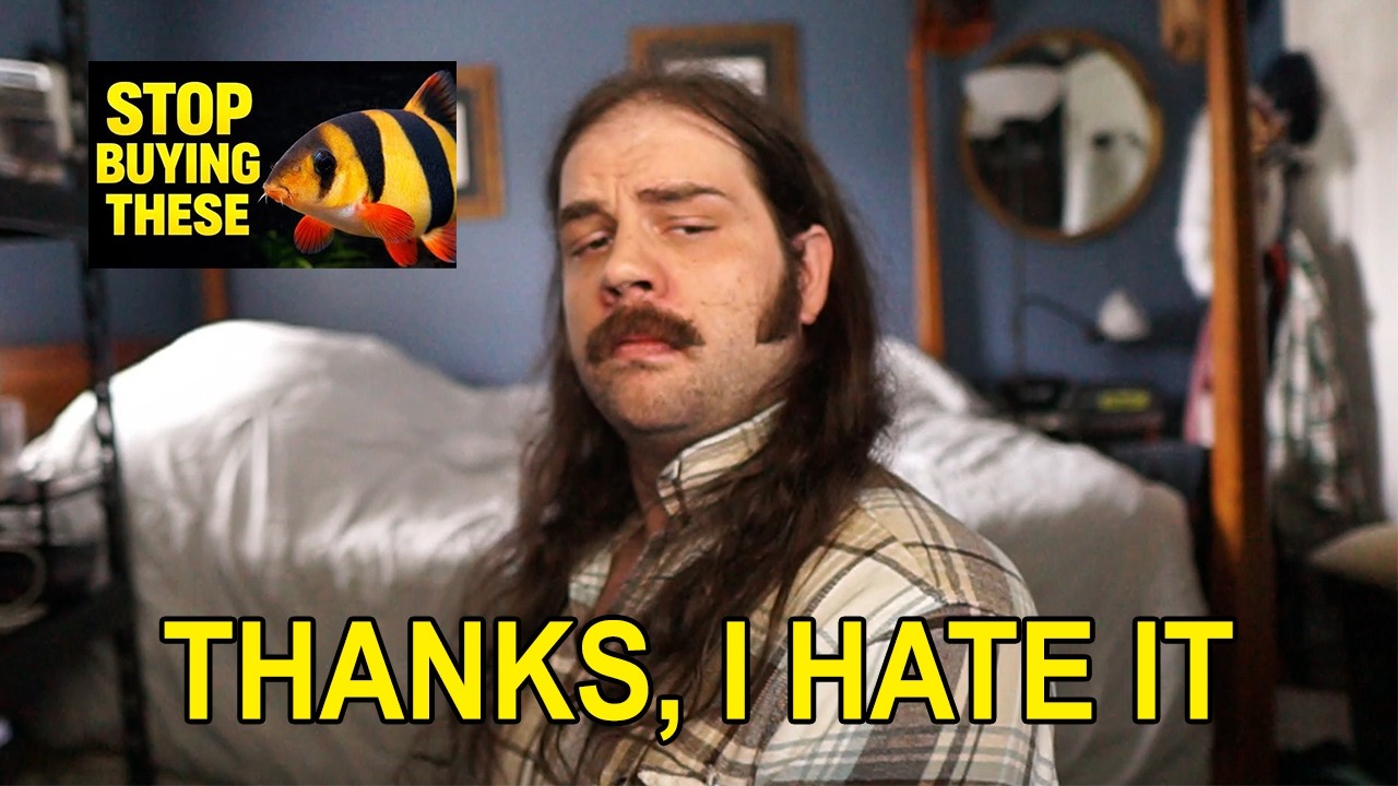 Этому абсурду с аквариумами, созданными с помощью ИИ, пора положить конец.