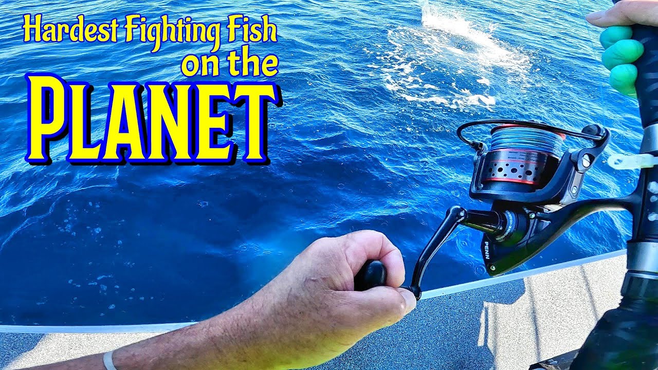 Fighting The Most Powerful Fish On The Planet