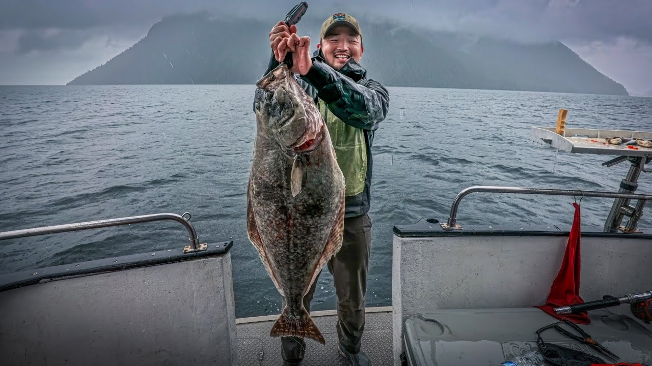 결국에는 끌어올린 미터급 알래스카 할리벗 - Whittier 1박2일