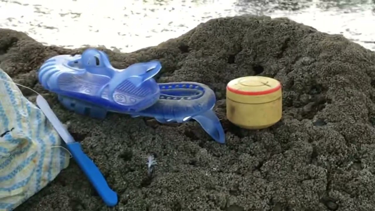 Vlog 2: هروب سمكة درعي في اللحظات الأخيرة  😩مصيد الفم بمولاي بوسلهام