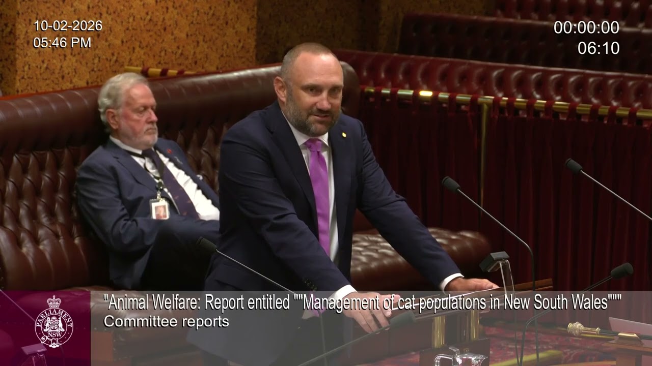 Committee Reports - Management of Cats in NSW